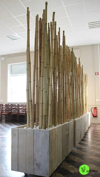 inspirace bambusový plot